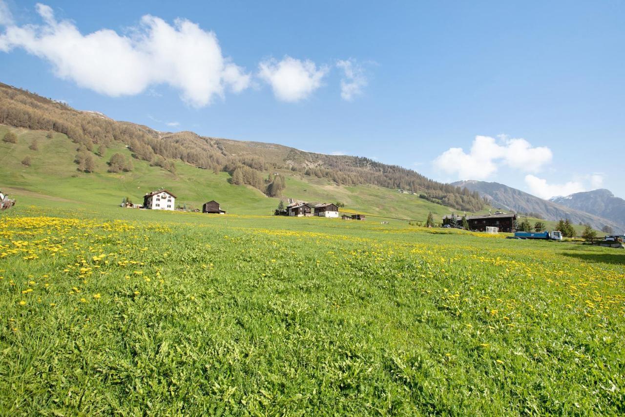 Baita Truzz Appartamento Valle Livigno Exteriér fotografie